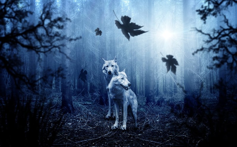 Moonlight Elixir